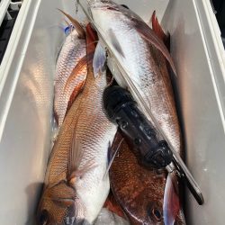 第二八坂丸 釣果