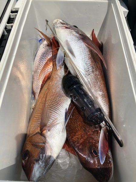 第二八坂丸 釣果