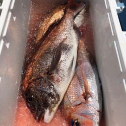 第二八坂丸 釣果