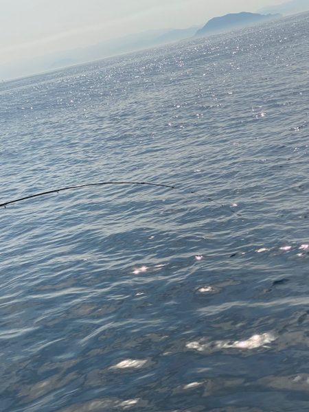 あみや渡船 JIGBOY 釣果