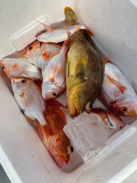 あみや渡船 JIGBOY 釣果