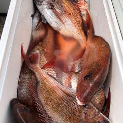 第二八坂丸 釣果