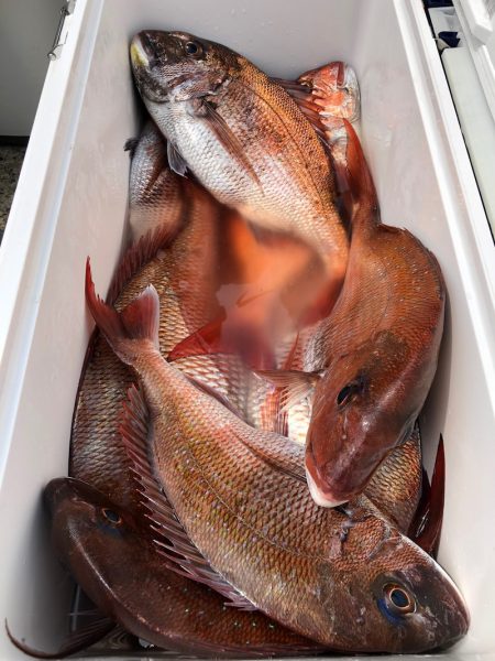 第二八坂丸 釣果