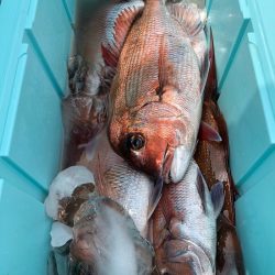 第二八坂丸 釣果