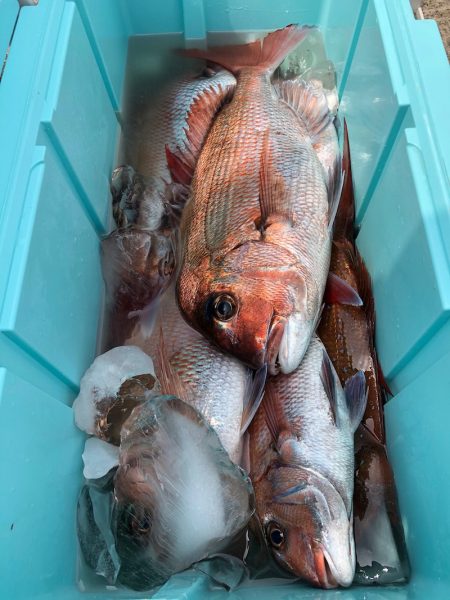 第二八坂丸 釣果