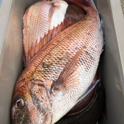 第二八坂丸 釣果