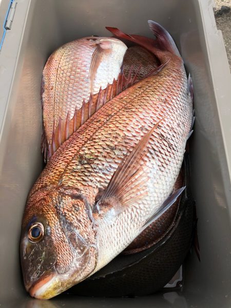 第二八坂丸 釣果