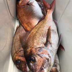 第二八坂丸 釣果