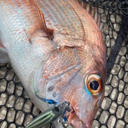 龍神丸（鹿児島） 釣果