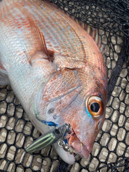 龍神丸（鹿児島） 釣果
