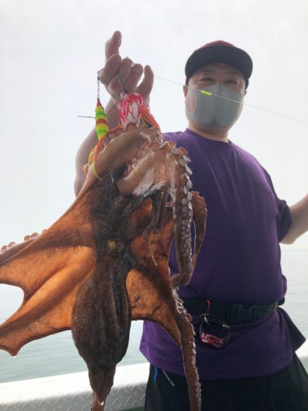 ヤザワ渡船 釣果