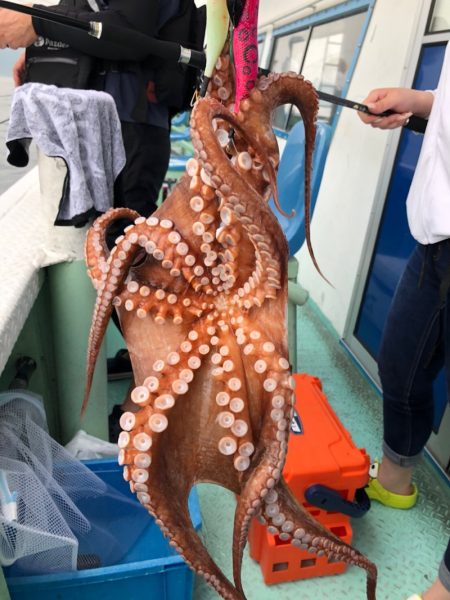 ヤザワ渡船 釣果