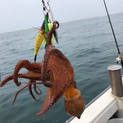 浜栄丸 釣果