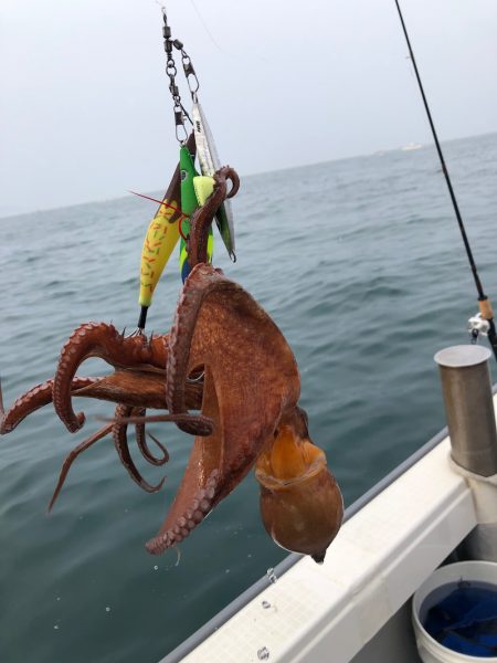 浜栄丸 釣果