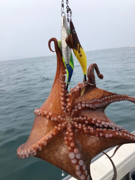 浜栄丸 釣果