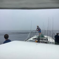 Monster Rush! 釣果