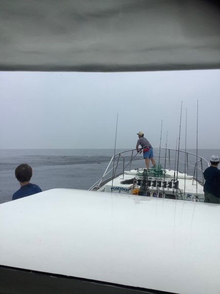 Monster Rush! 釣果