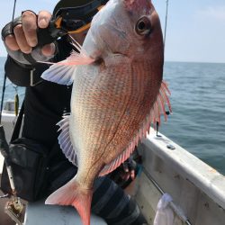 ランスルー 釣果