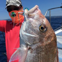 渡船屋たにぐち 釣果