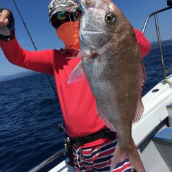 渡船屋たにぐち 釣果