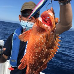 渡船屋たにぐち 釣果
