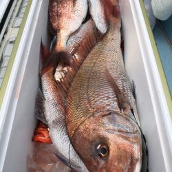 第二八坂丸 釣果