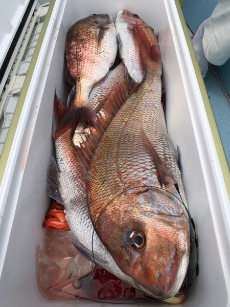 第二八坂丸 釣果