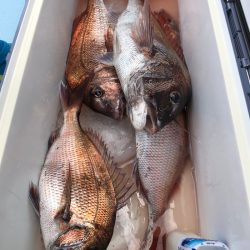 第二八坂丸 釣果