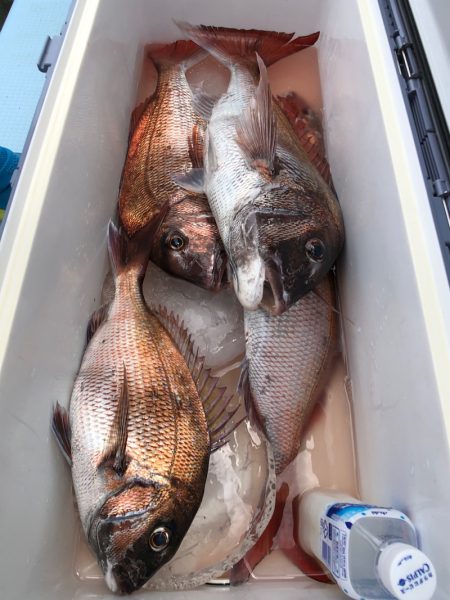 第二八坂丸 釣果