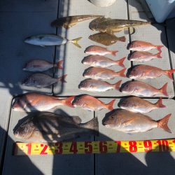 遊漁船高橋 釣果