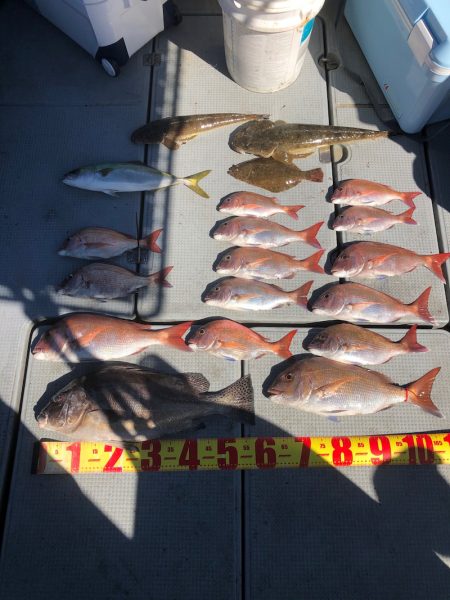 遊漁船高橋 釣果