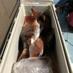 第二八坂丸 釣果