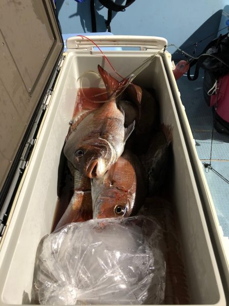 第二八坂丸 釣果