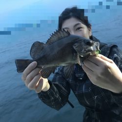 遊漁船メテオ 釣果