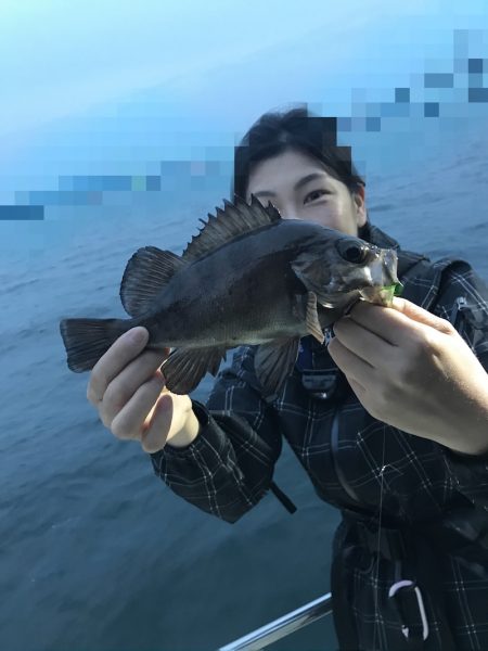 遊漁船メテオ 釣果