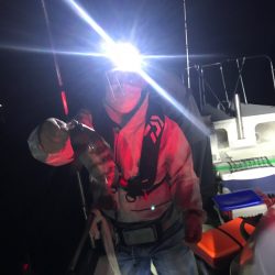 遊漁船メテオ 釣果