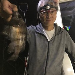 遊漁船メテオ 釣果