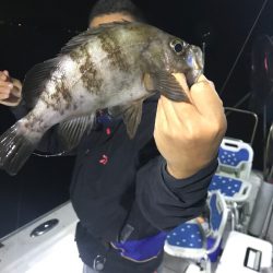 遊漁船メテオ 釣果