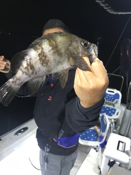 遊漁船メテオ 釣果