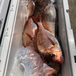 第二八坂丸 釣果