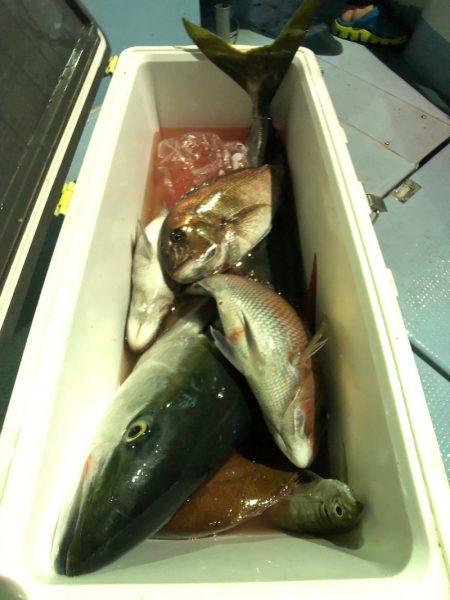 第二八坂丸 釣果