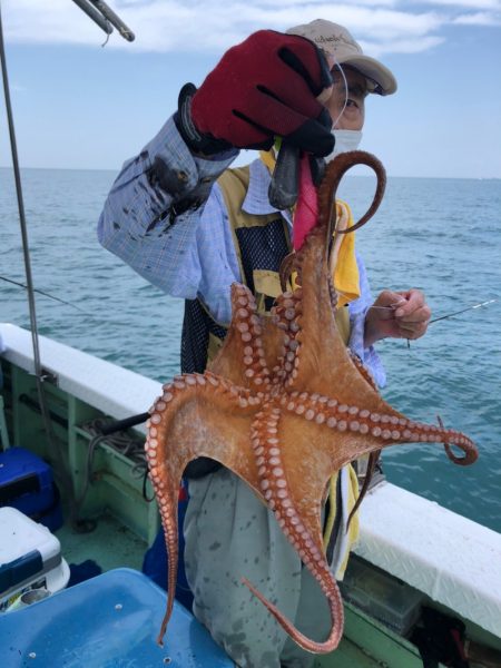 ヤザワ渡船 釣果