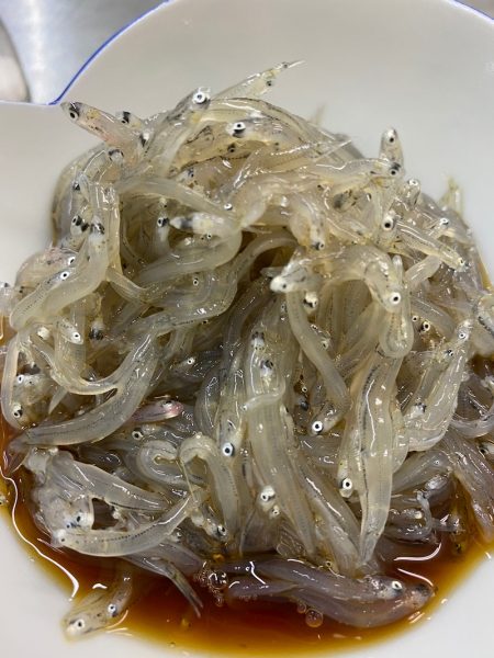 美宝丸 釣果