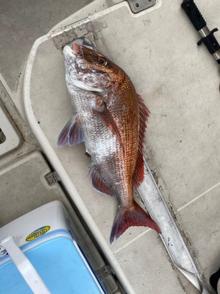 末広丸(熊本) 釣果