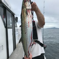 ランスルー 釣果