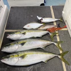 Monster Rush! 釣果