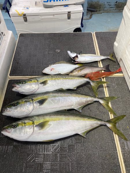 Monster Rush! 釣果