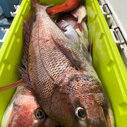 第二八坂丸 釣果