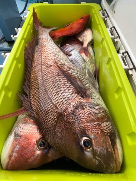 第二八坂丸 釣果