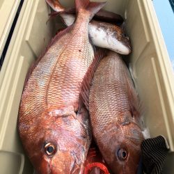 第二八坂丸 釣果